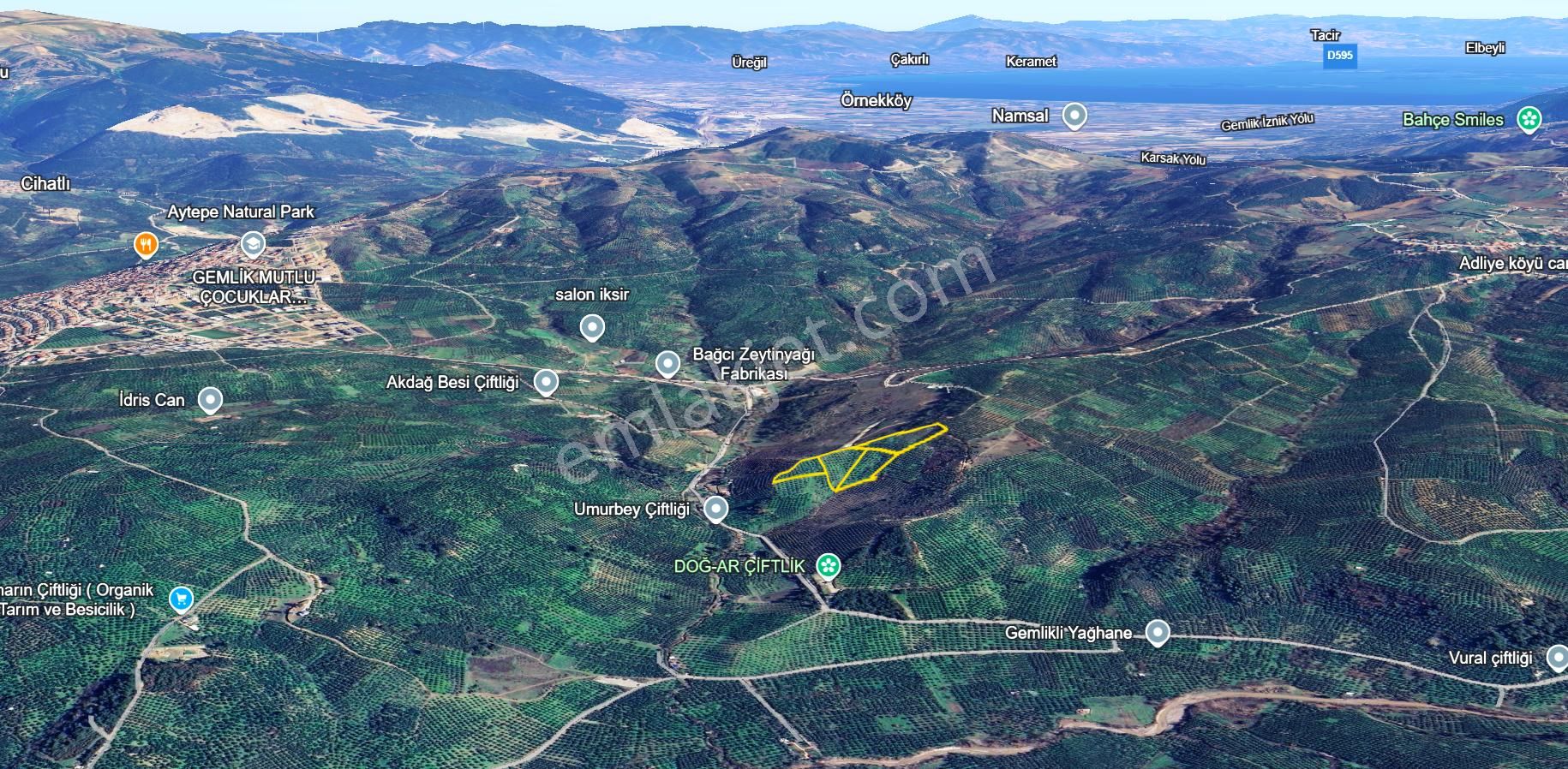 C21 Cius; Adliye Umurbey Sınırı 33,596m2 Bakımlı Zeytinlik - Görsel 30