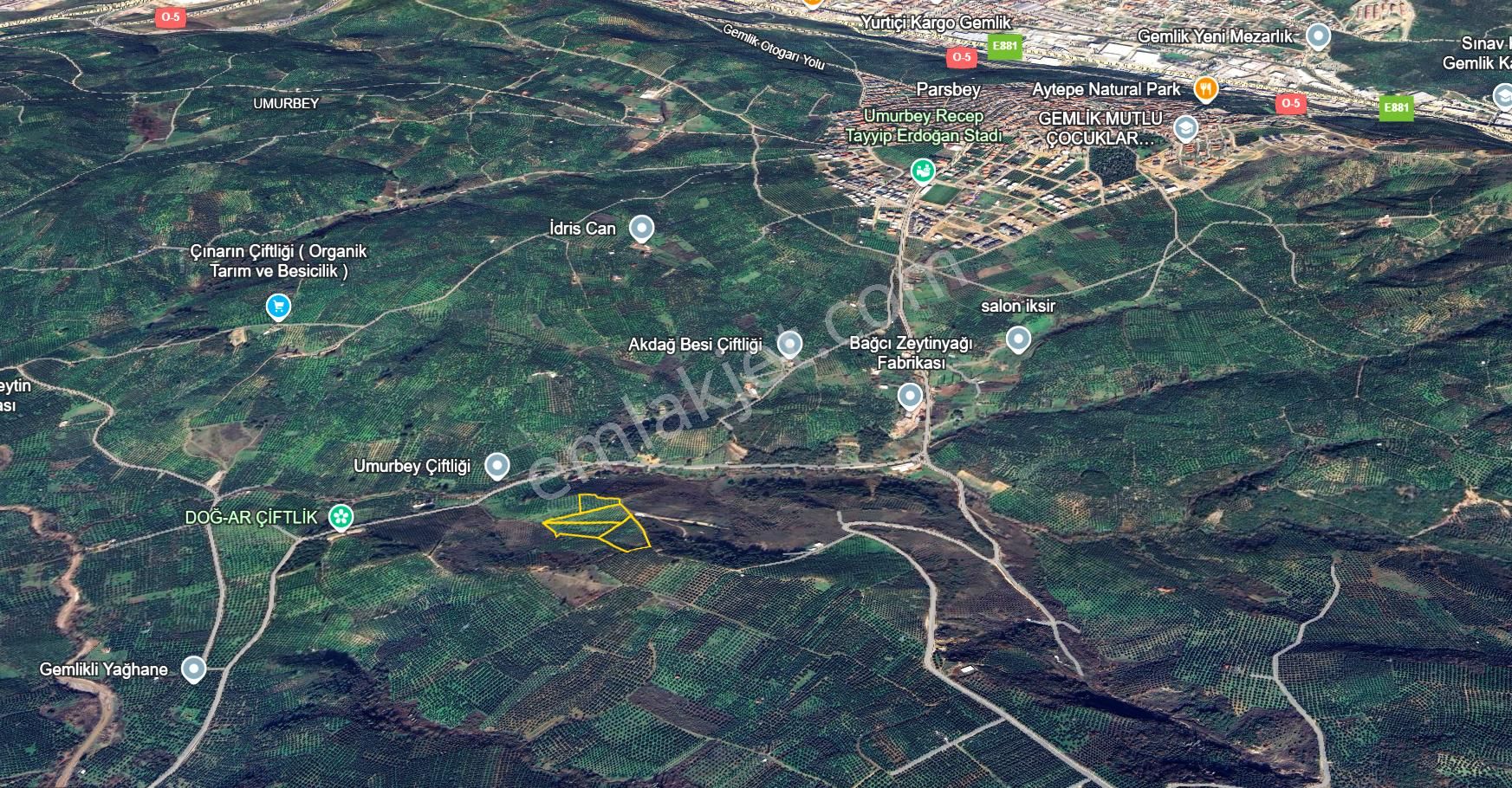 C21 Cius; Adliye Umurbey Sınırı 33,596m2 Bakımlı Zeytinlik - Görsel 31