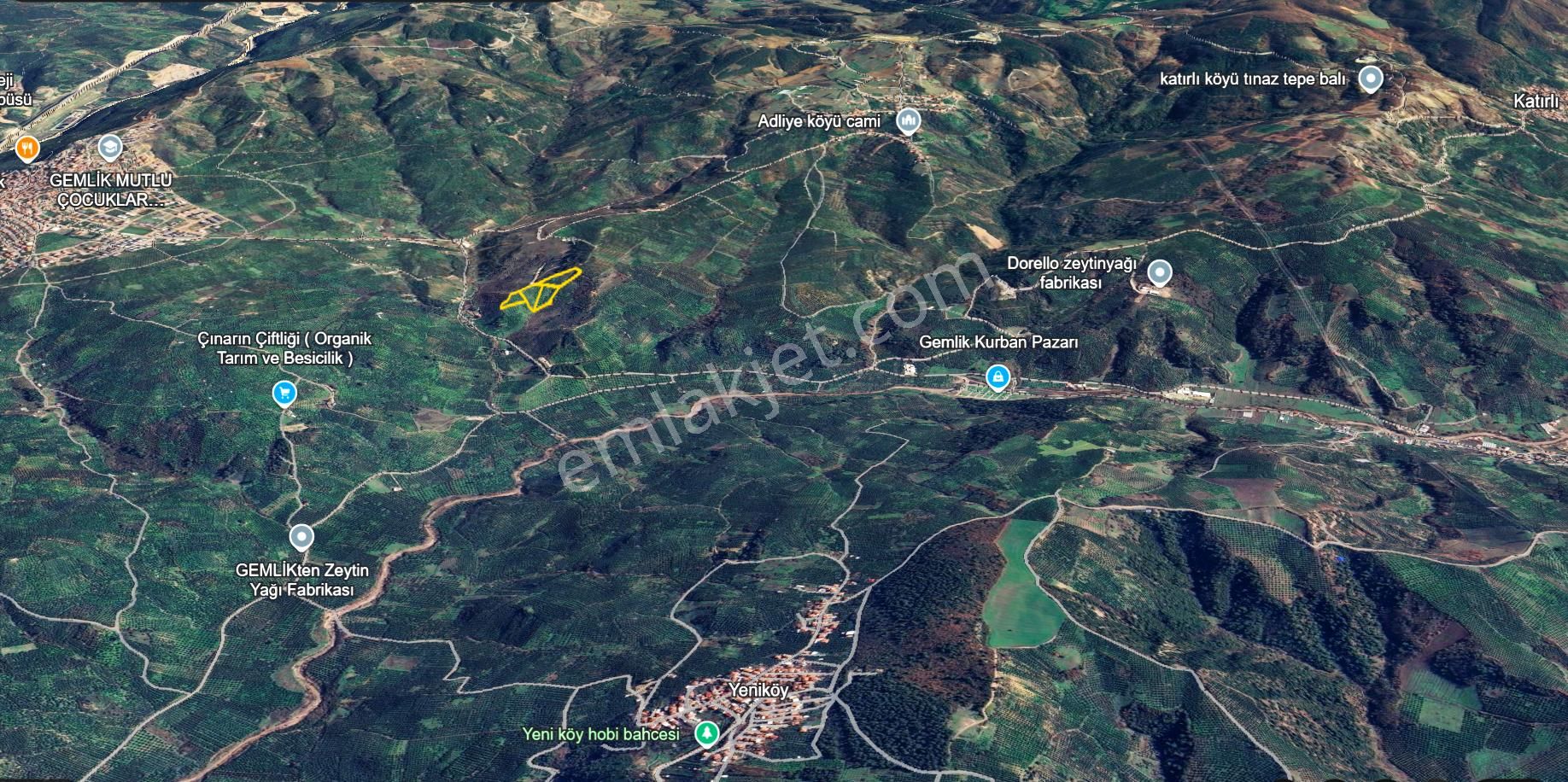 C21 Cius; Adliye Umurbey Sınırı 33,596m2 Bakımlı Zeytinlik - Görsel 32