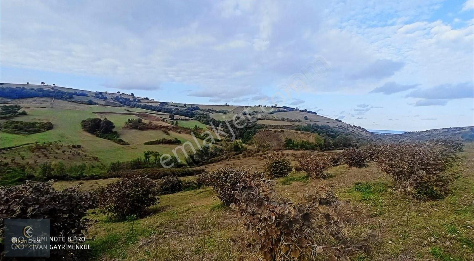 19 Mayıs Yeşilköy Satılık Tarla Civan'da Yeşilköyde 46000 M2 Fındıkık Acil Satılık Takasa Açık