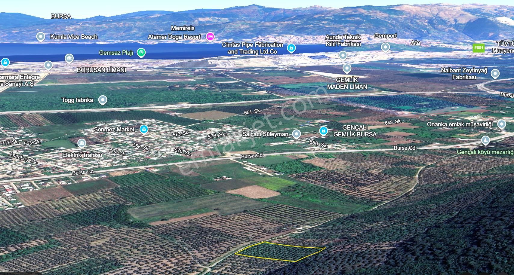 C21 Cius; Gençali 4607m2 Yola Çift Cephe Satılık Zeytinlik - Görsel 6