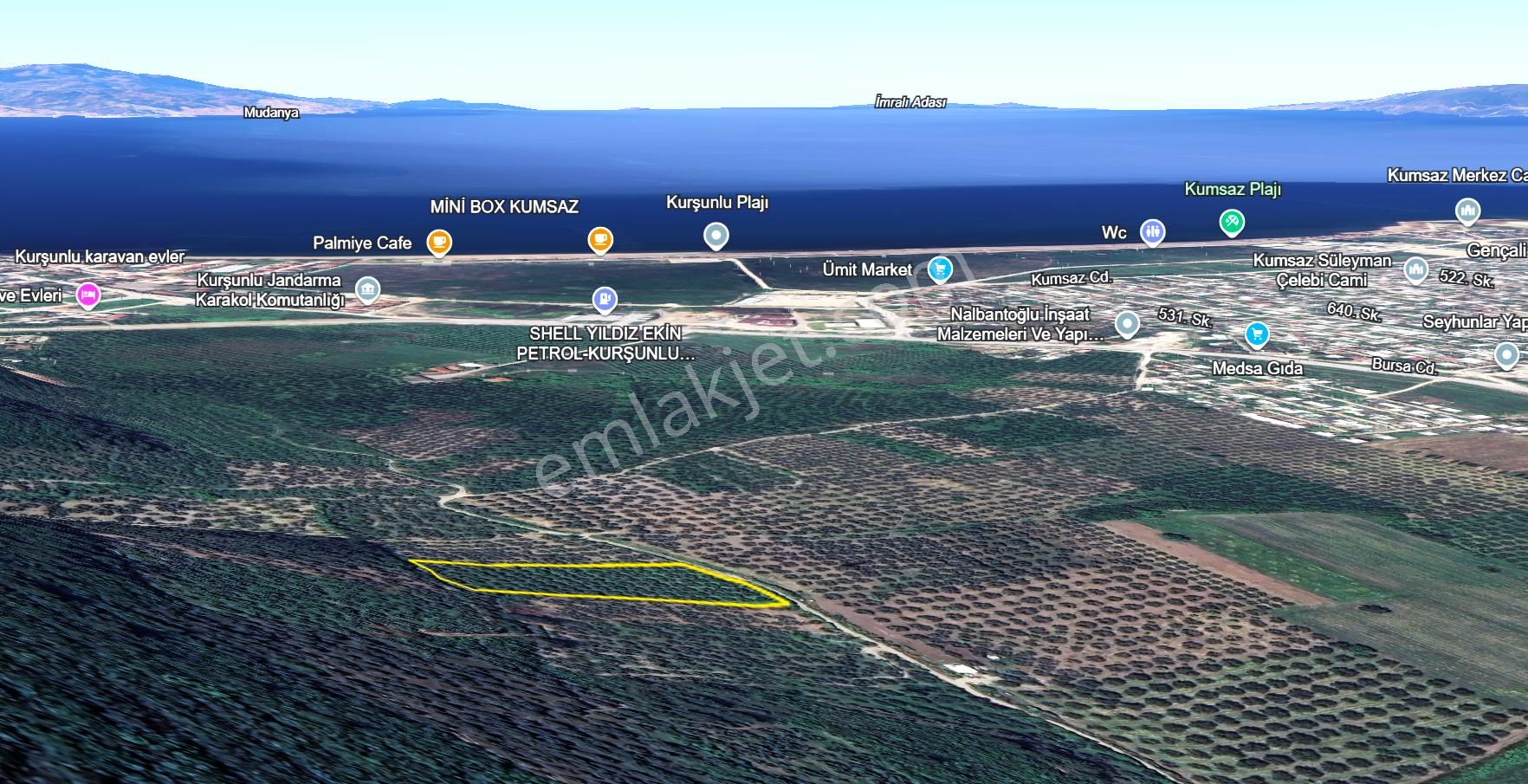 C21 Cius; Gençali 4607m2 Yola Çift Cephe Satılık Zeytinlik - Görsel 8