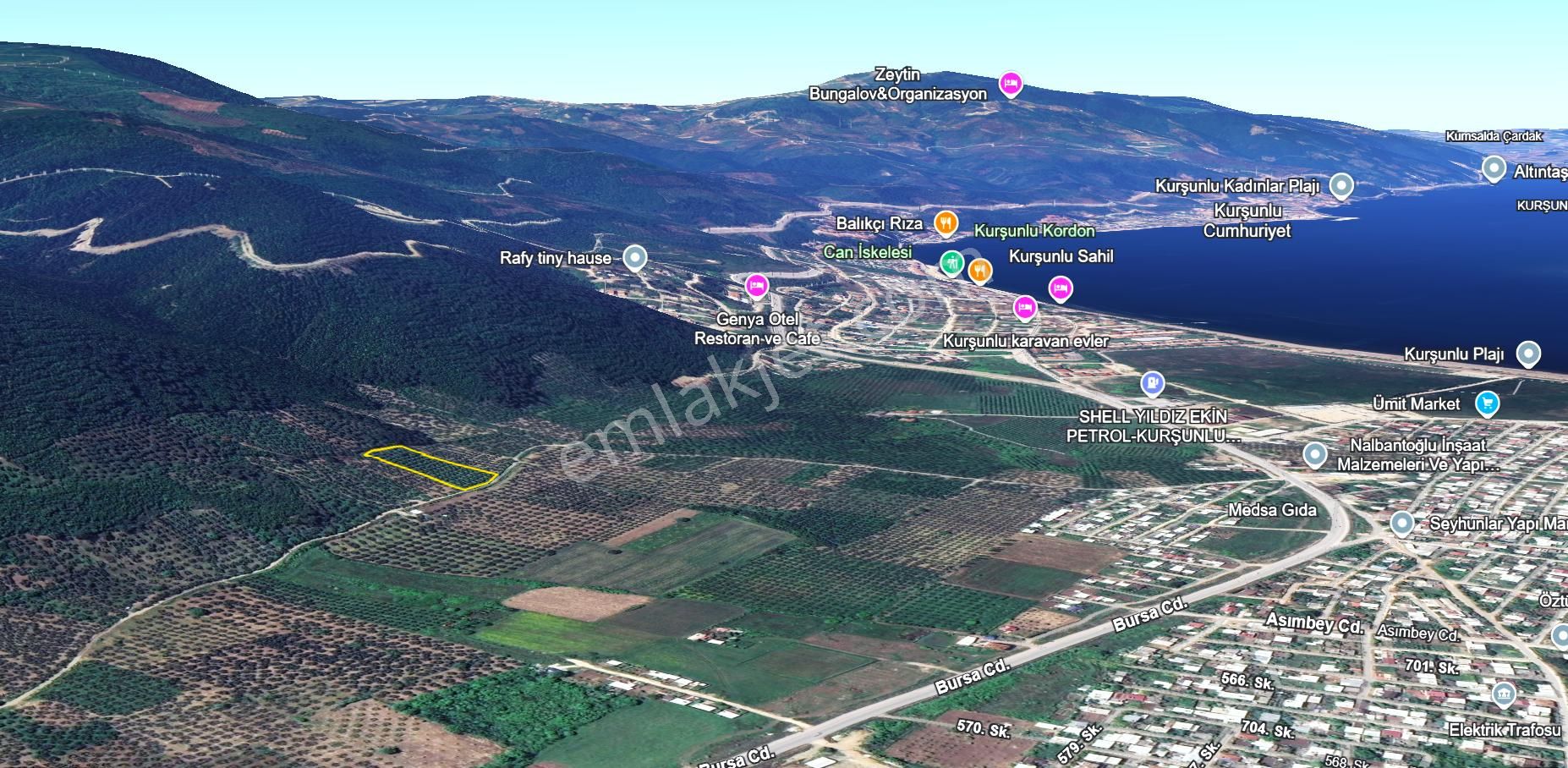 C21 Cius; Gençali 4607m2 Yola Çift Cephe Satılık Zeytinlik - Görsel 3