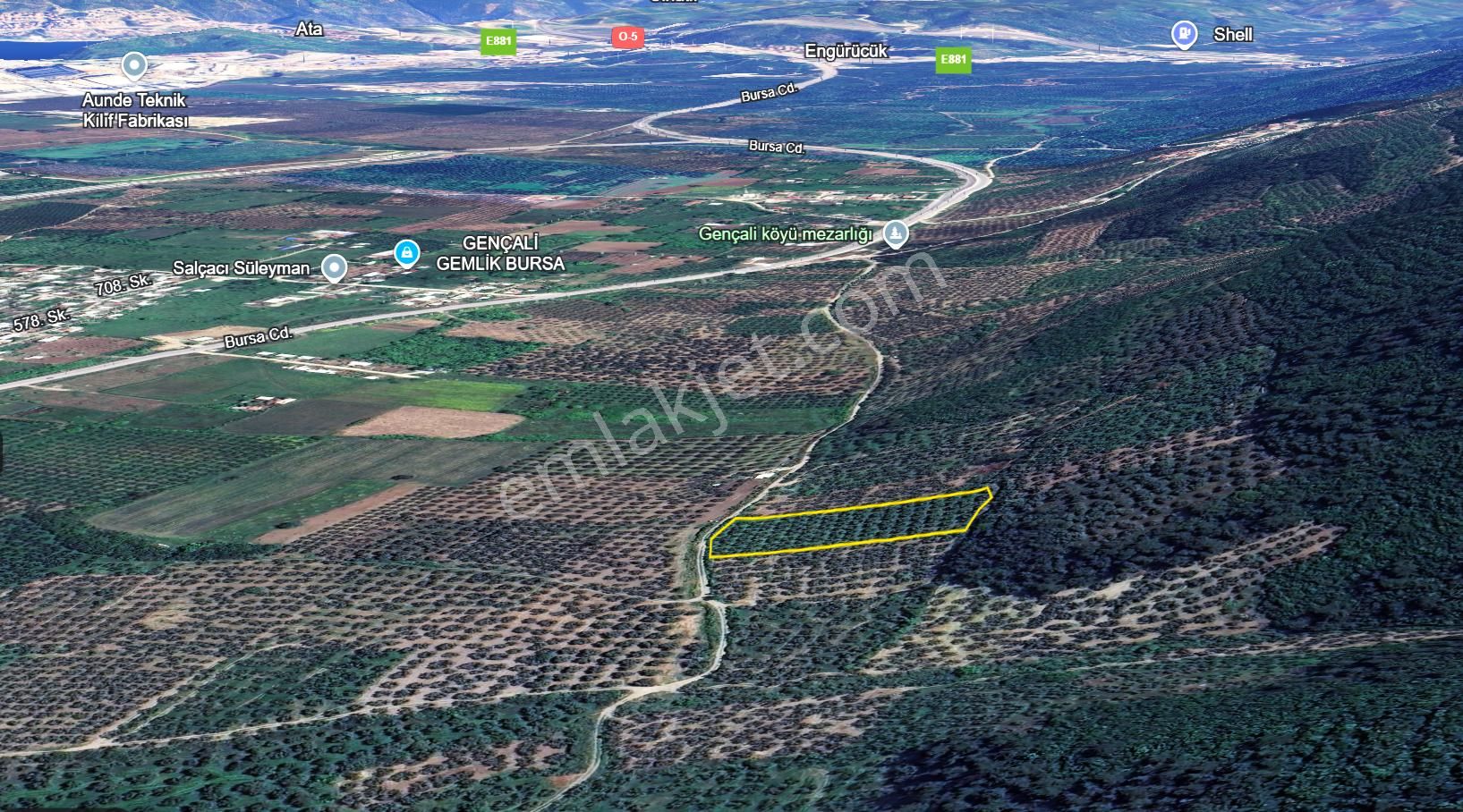 C21 Cius; Gençali 4607m2 Yola Çift Cephe Satılık Zeytinlik - Görsel 7