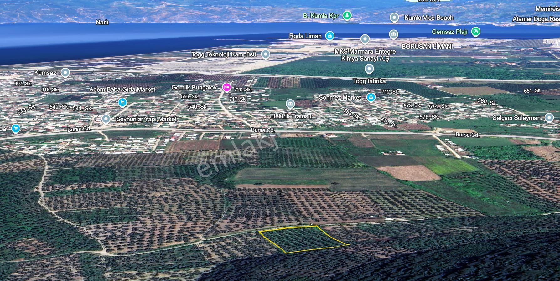 C21 Cius; Gençali 4607m2 Yola Çift Cephe Satılık Zeytinlik - Görsel 9
