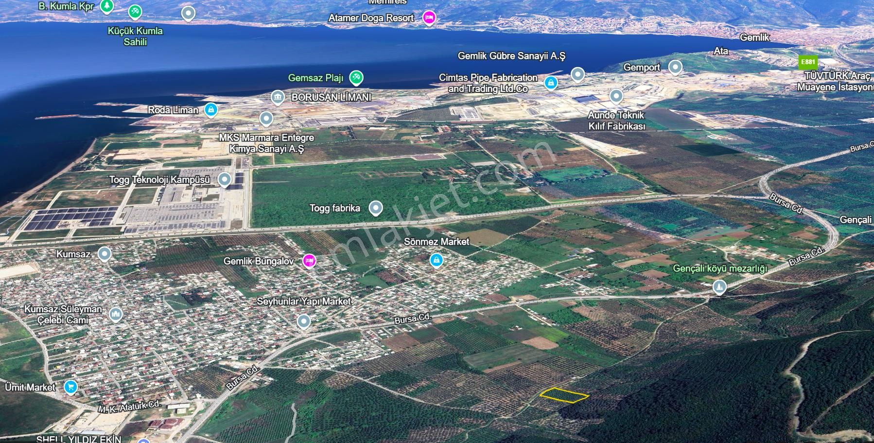 C21 Cius; Gençali 4607m2 Yola Çift Cephe Satılık Zeytinlik - Görsel 5