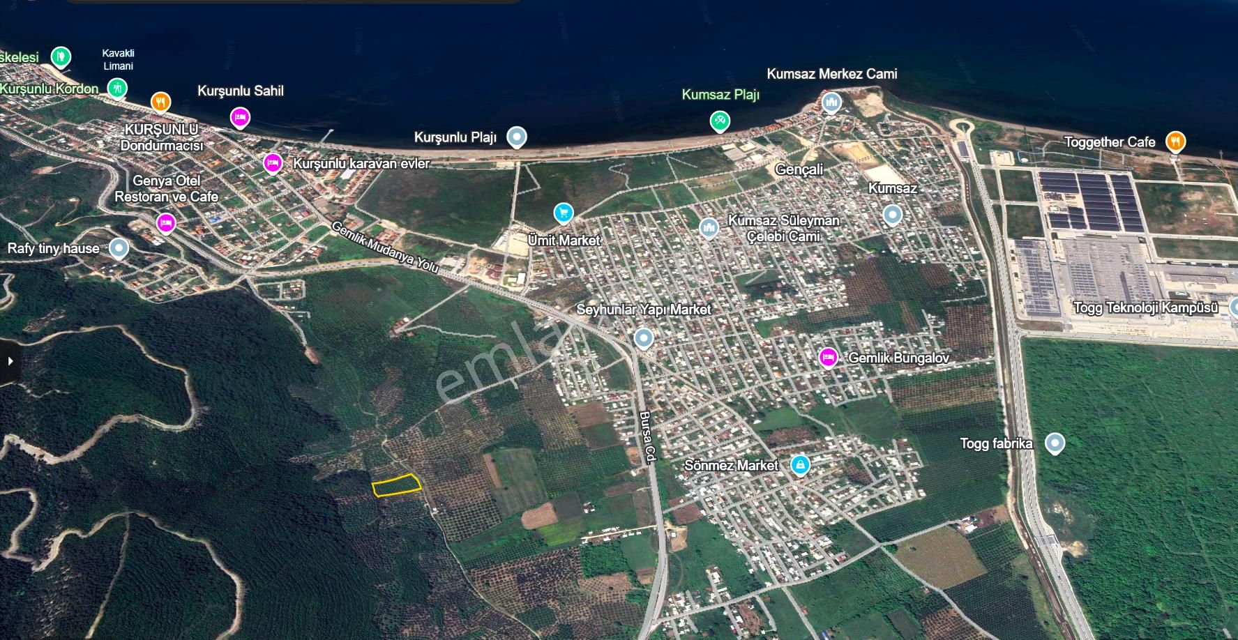 C21 Cius; Gençali 4607m2 Yola Çift Cephe Satılık Zeytinlik - Görsel 2