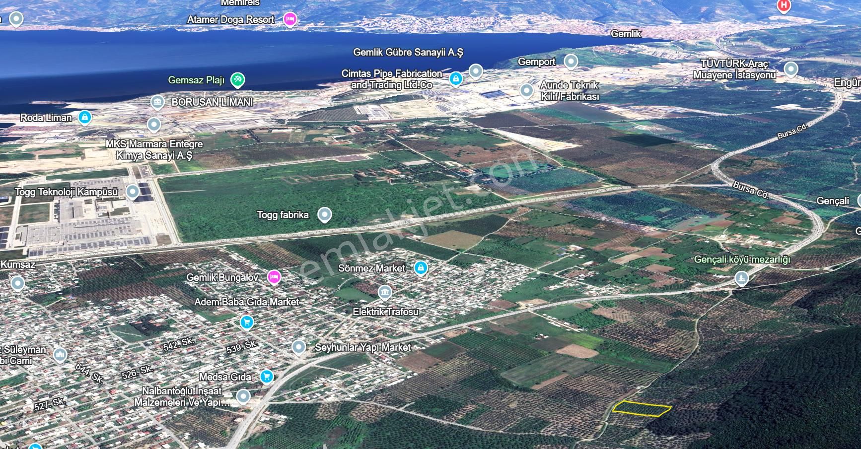 C21 Cius; Gençali 4607m2 Yola Çift Cephe Satılık Zeytinlik - Görsel 4