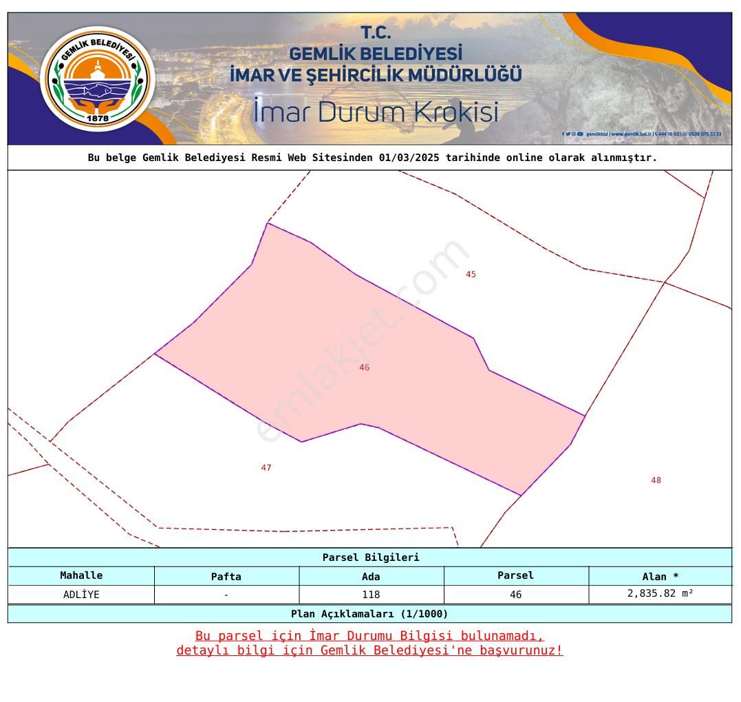 C21 Cius; Adliye 2835m2 Bakımlı Satılık Zeytinlik - Görsel 2