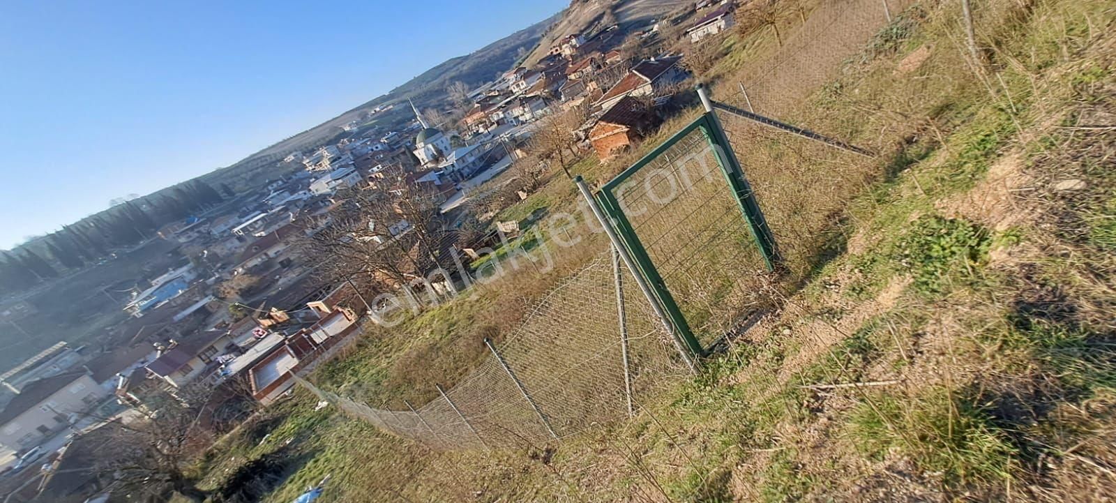 Mudanya Hançerli Satılık Tarla Acil Satilik