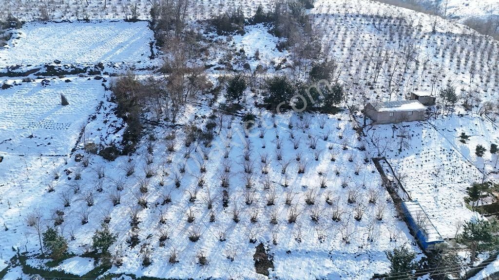 Trabzon Akçaabat Satılık Konut İmarlı Trabzon Akçaabat Söğütlü'de Satılık Arsa