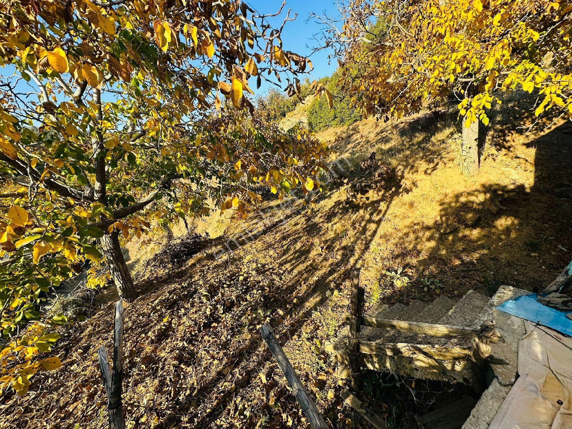 Mor Çiçek Emlak Tire Yamandere Satılık Kargir Ev - Görsel 2