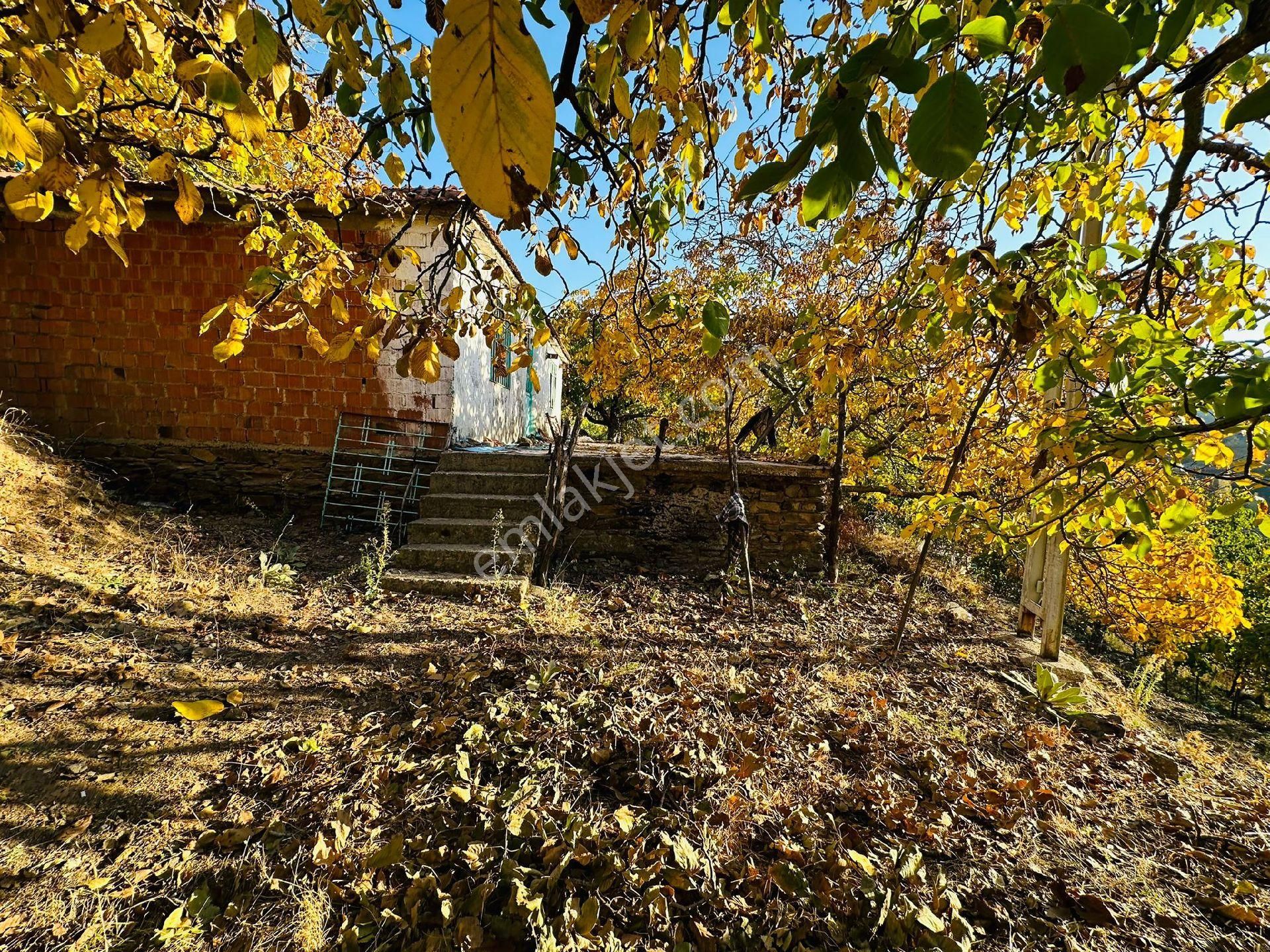 Mor Çiçek Emlak Tire Yamandere Satılık Kargir Ev - Görsel 15