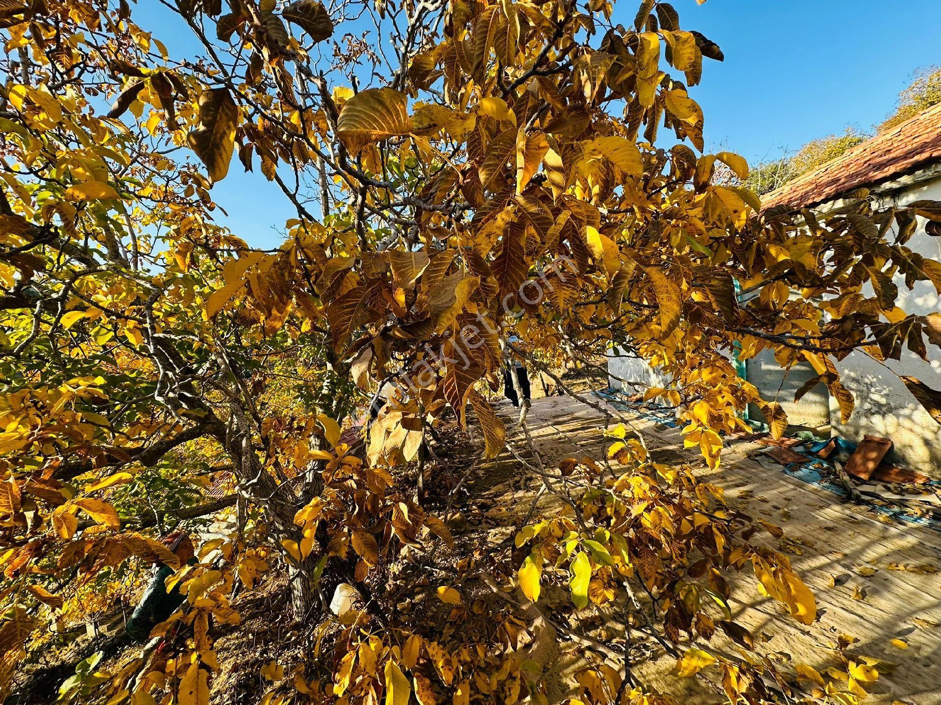 Mor Çiçek Emlak Tire Yamandere Satılık Kargir Ev - Görsel 14