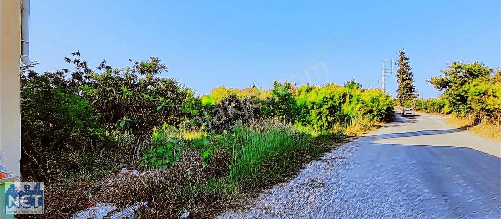 Finike Hasyurt Satılık Ticari İmarlı Antalya Fınıkede Yatırımlık Satılık Portakal Bahçesi