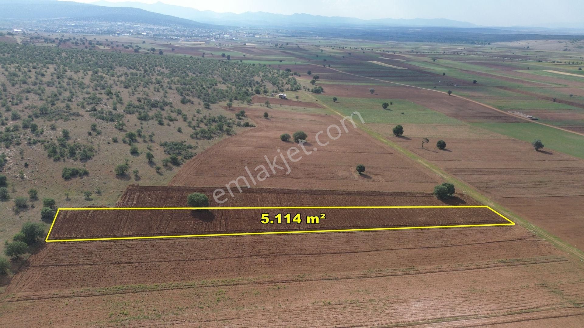 Akören Hacılar Satılık Tarla Akören Hacılarda 5.114 M2 Müstakil Tapulu Tarla