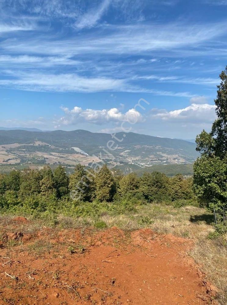 Çelik'ten Bursa Kestel Erdoğan Köyü'nde Satılık 4.618 M² Düz Arazi - Görsel 7