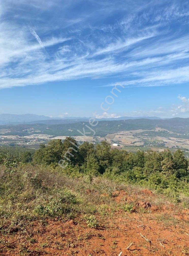 Çelik'ten Bursa Kestel Erdoğan Köyü'nde Satılık 4.618 M² Düz Arazi - Görsel 20