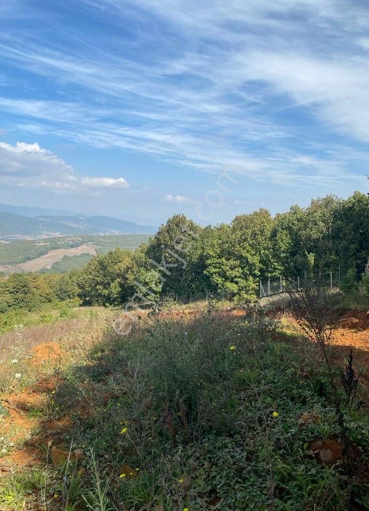 Çelik'ten Bursa Kestel Erdoğan Köyü'nde Satılık 4.618 M² Düz Arazi - Görsel 8