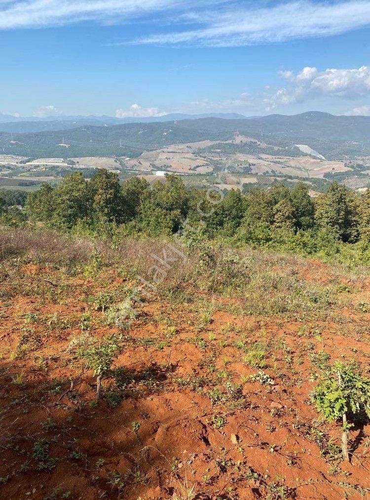 Çelik'ten Bursa Kestel Erdoğan Köyü'nde Satılık 4.618 M² Düz Arazi - Görsel 2