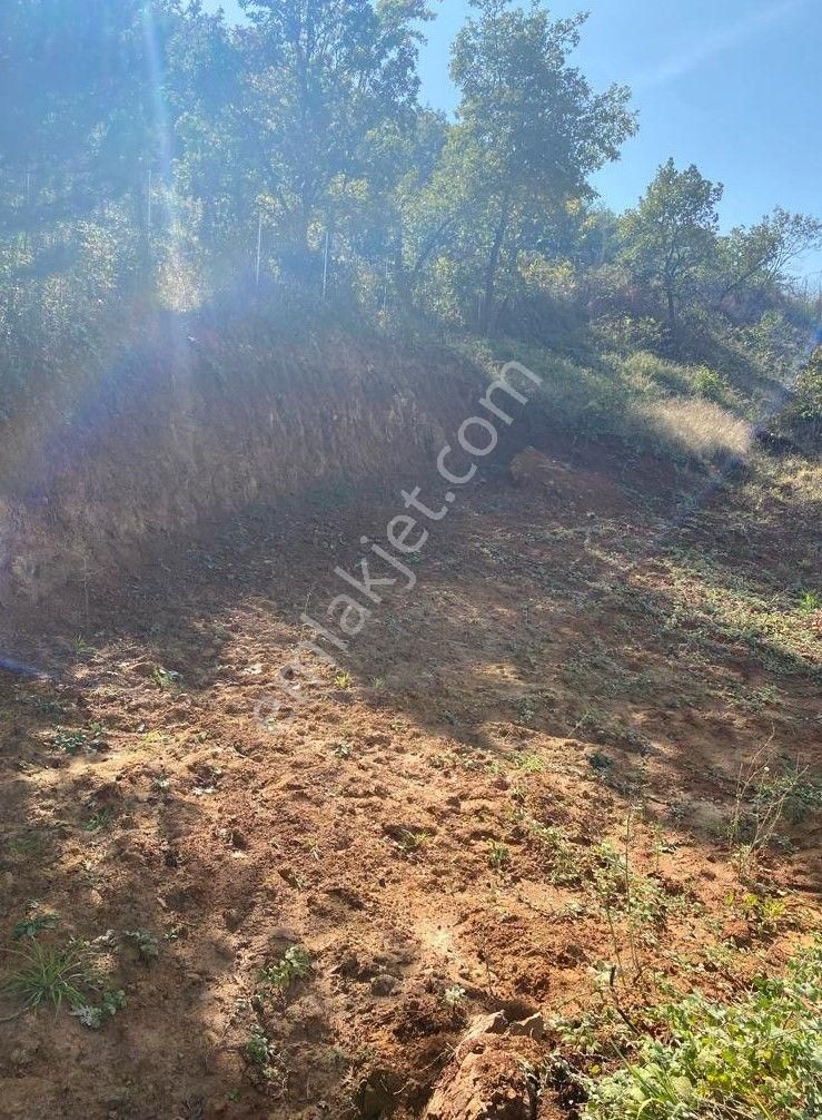 Çelik'ten Bursa Kestel Erdoğan Köyü'nde Satılık 4.618 M² Düz Arazi - Görsel 9