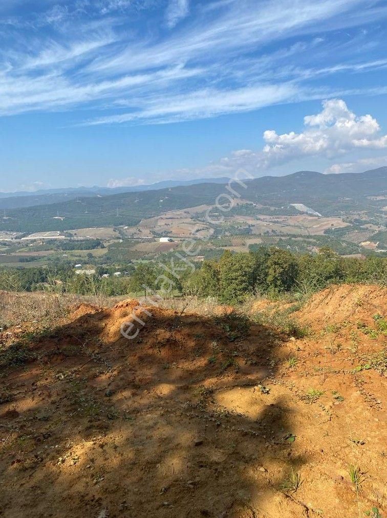 Çelik'ten Bursa Kestel Erdoğan Köyü'nde Satılık 4.618 M² Düz Arazi - Görsel 17