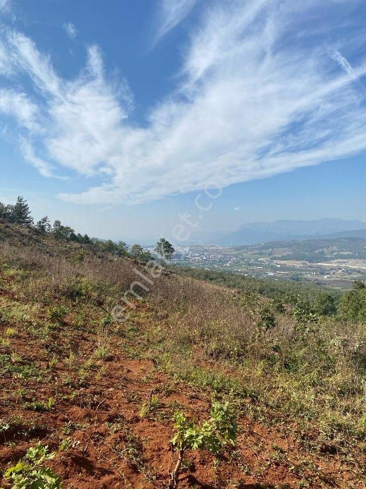 Çelik'ten Bursa Kestel Erdoğan Köyü'nde Satılık 4.618 M² Düz Arazi - Görsel 16