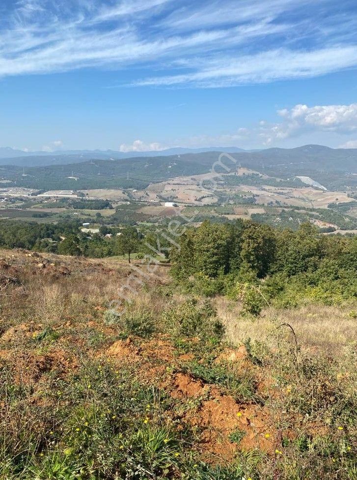 Çelik'ten Bursa Kestel Erdoğan Köyü'nde Satılık 4.618 M² Düz Arazi - Görsel 4