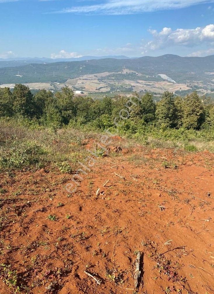 Çelik'ten Bursa Kestel Erdoğan Köyü'nde Satılık 4.618 M² Düz Arazi - Görsel 13