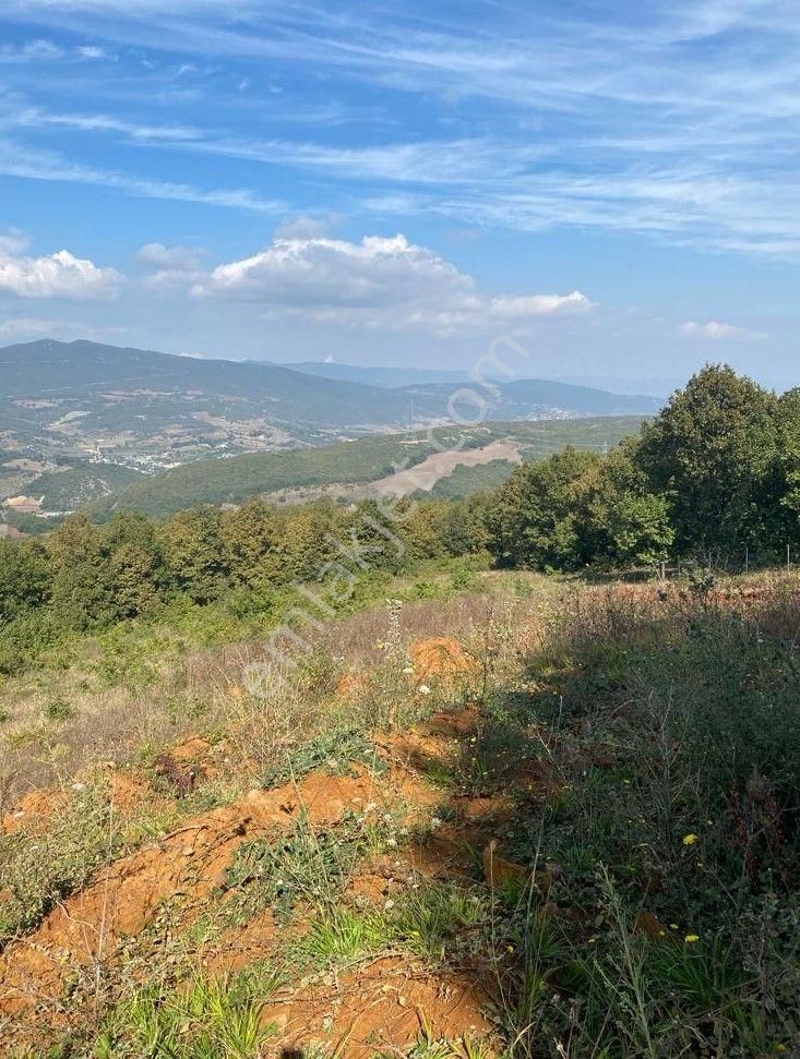 Çelik'ten Bursa Kestel Erdoğan Köyü'nde Satılık 4.618 M² Düz Arazi - Görsel 6