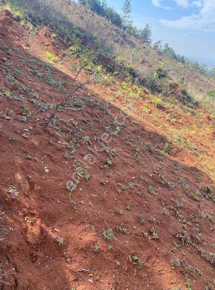 Çelik'ten Bursa Kestel Erdoğan Köyü'nde Satılık 4.618 M² Düz Arazi - Görsel 3