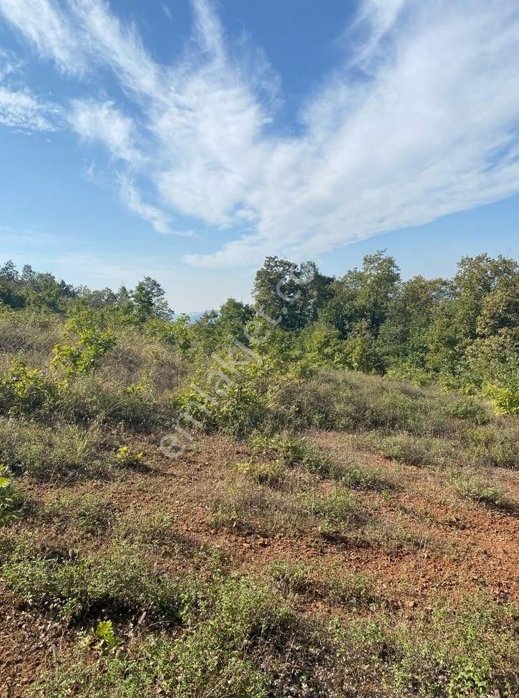 Çelik'ten Bursa Kestel Erdoğan Köyü'nde Satılık 4.618 M² Düz Arazi - Görsel 15