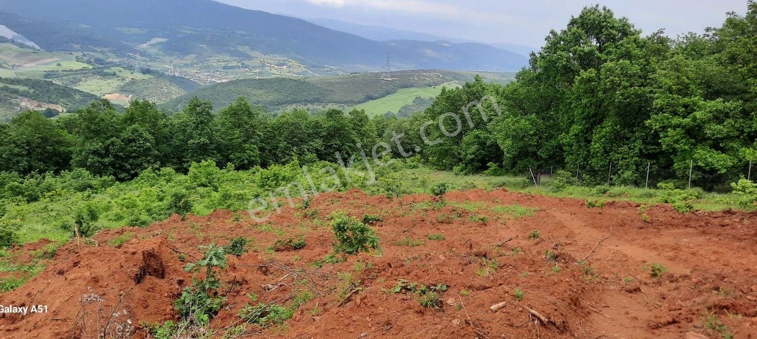 Çelik'ten Bursa Kestel Erdoğan Köyü'nde Satılık 4.618 M² Düz Arazi - Görsel 19