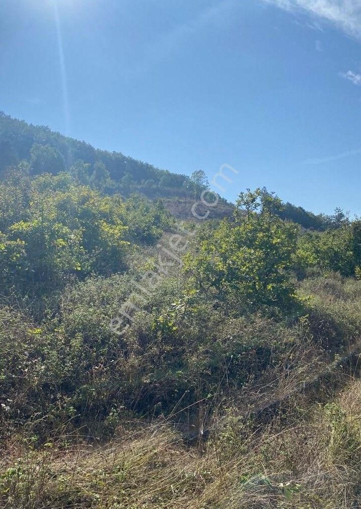 Çelik'ten Bursa Kestel Erdoğan Köyü'nde Satılık 4.618 M² Düz Arazi - Görsel 14