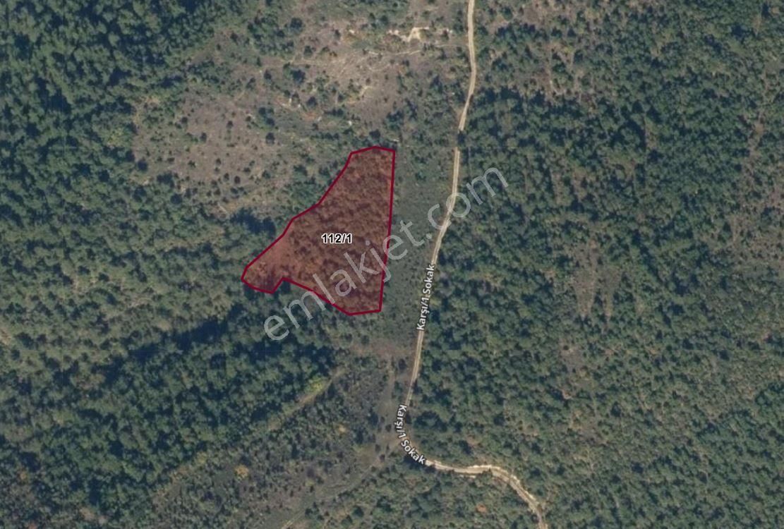 Pamukova Şahmelek Satılık Bağ & Bahçe Pamukova Şahmelek'te 119 Mt. Resmı Yola Cephelı 4547m² Arazı