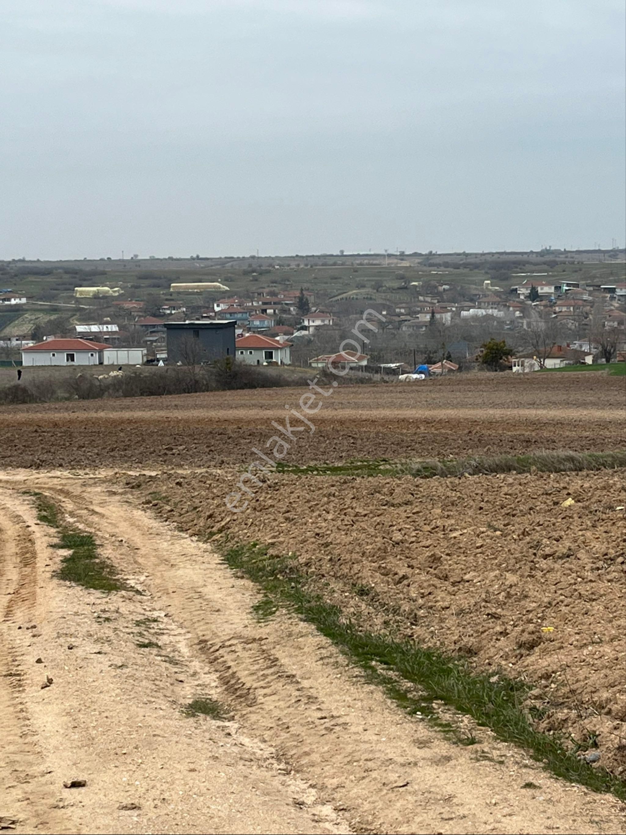 Kırklareli Merkez Deveçatağı Köyü Satılık Tarla İmarınbitişi Yatırımlık Arazi Deveçatağı Köyü Kırklarelli