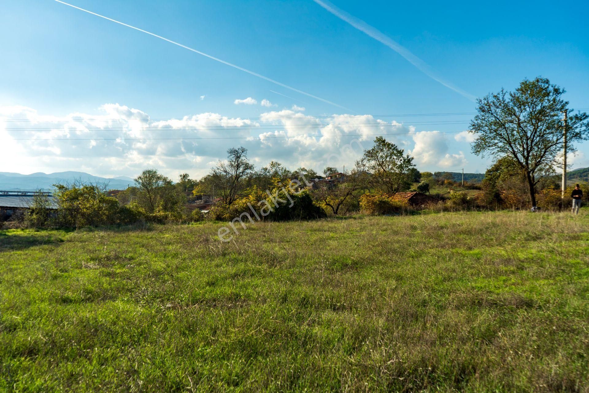 Lapseki Eçialan Köyü Satılık Konut İmarlı Lapseki Eçialanda 453 M² Köyiçi %80 İmarlı Son Arsa