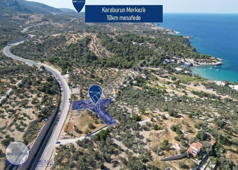 Maki'den Boyabağı'nda Emsalsiz Konumda Zeytinlik - Görsel 4