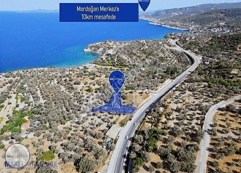 Maki'den Boyabağı'nda Emsalsiz Konumda Zeytinlik - Görsel 3