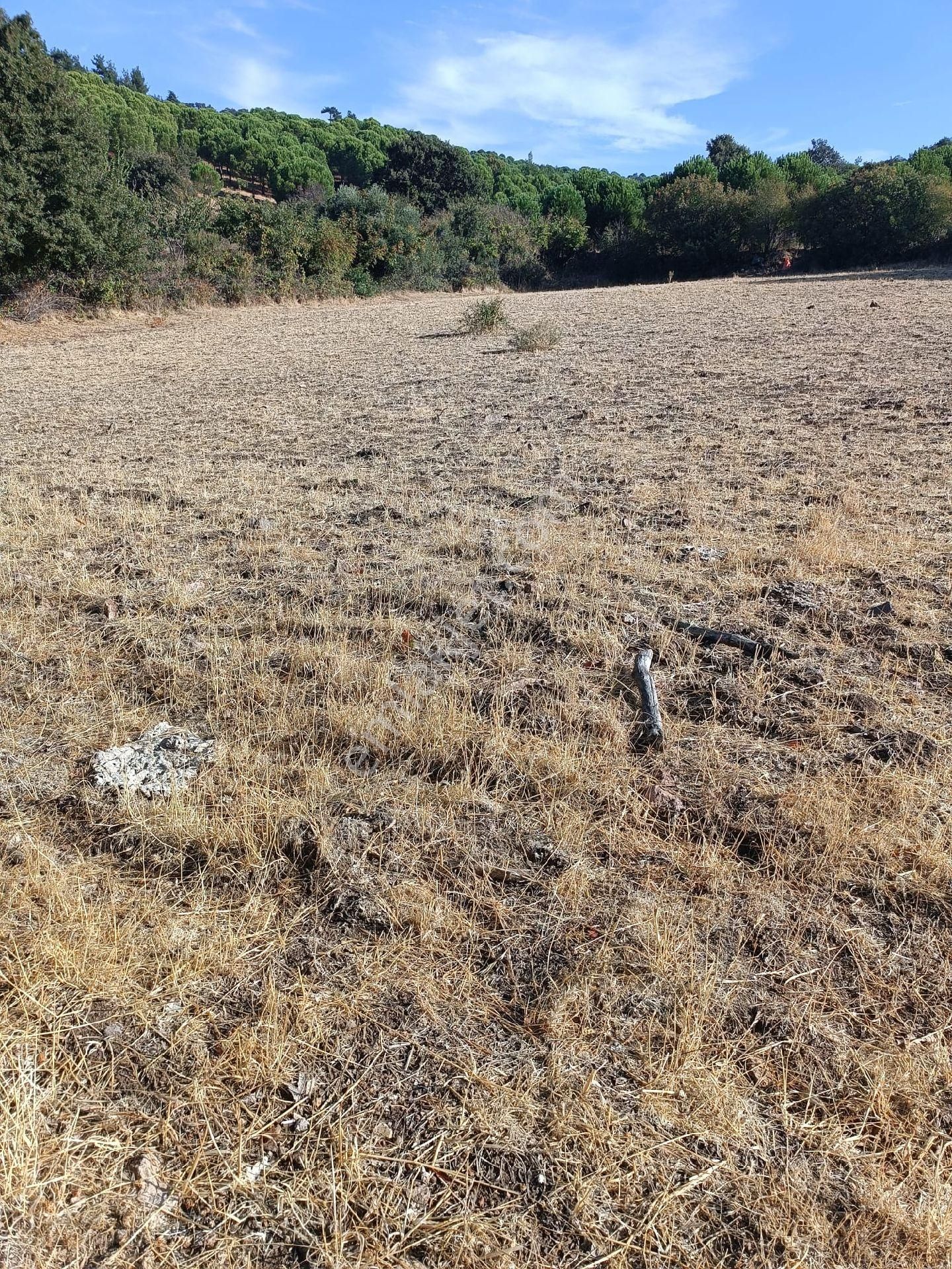 Bergama Kozluca Satılık Tarla Satılık Müstakiltapu