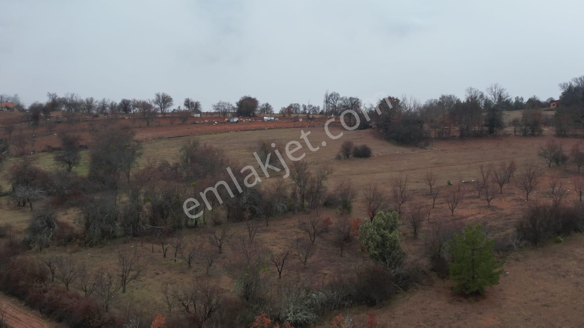 Çelik'ten Harmancık Kocapınar'da 5200 M2 Elma Bahçesi - Görsel 10