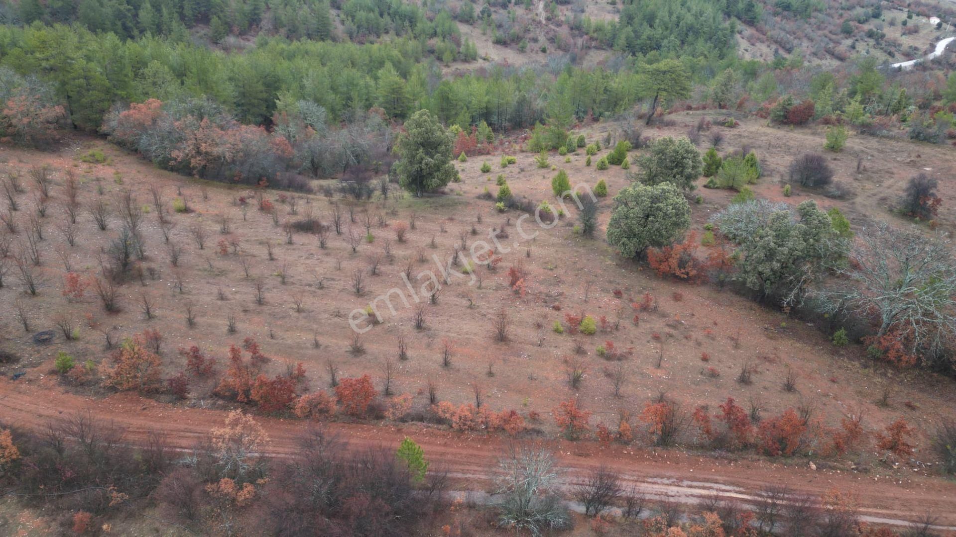 Çelik'ten Harmancık Kocapınar'da 5200 M2 Elma Bahçesi - Görsel 8