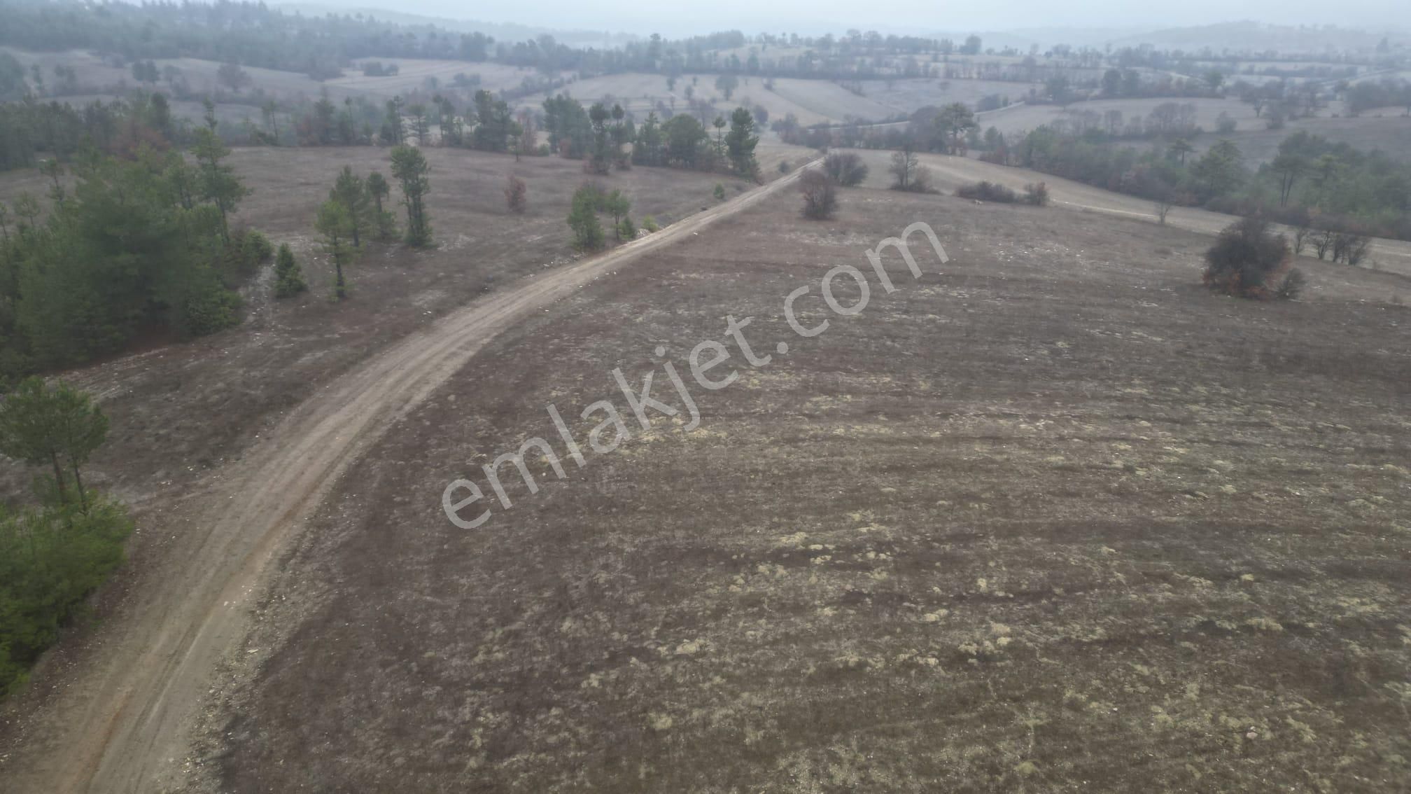 Çelik'ten Harmancık Kocapınar'da 5200 M2 Elma Bahçesi - Görsel 9