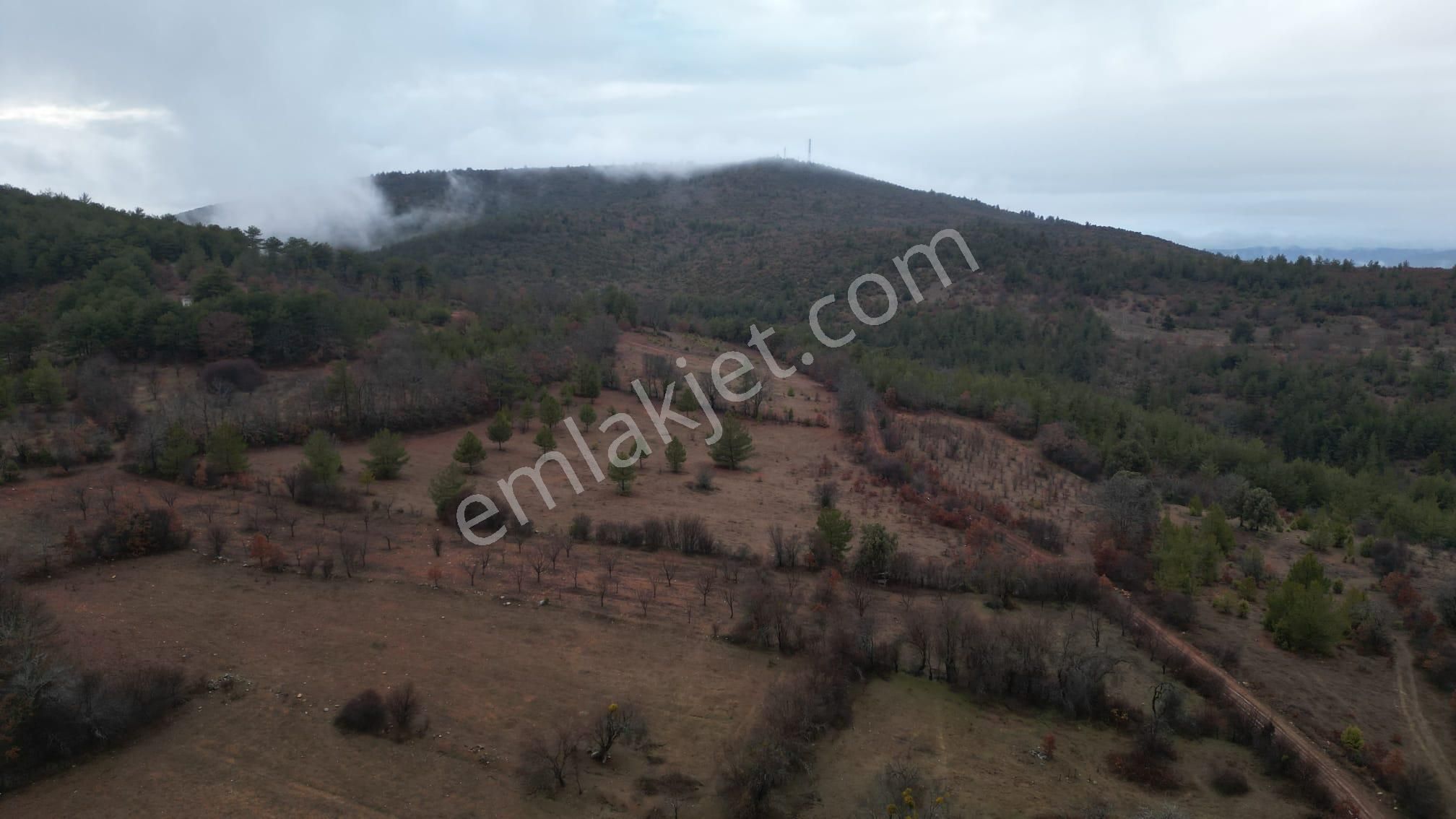 Çelik'ten Harmancık Kocapınar'da 5200 M2 Elma Bahçesi - Görsel 4