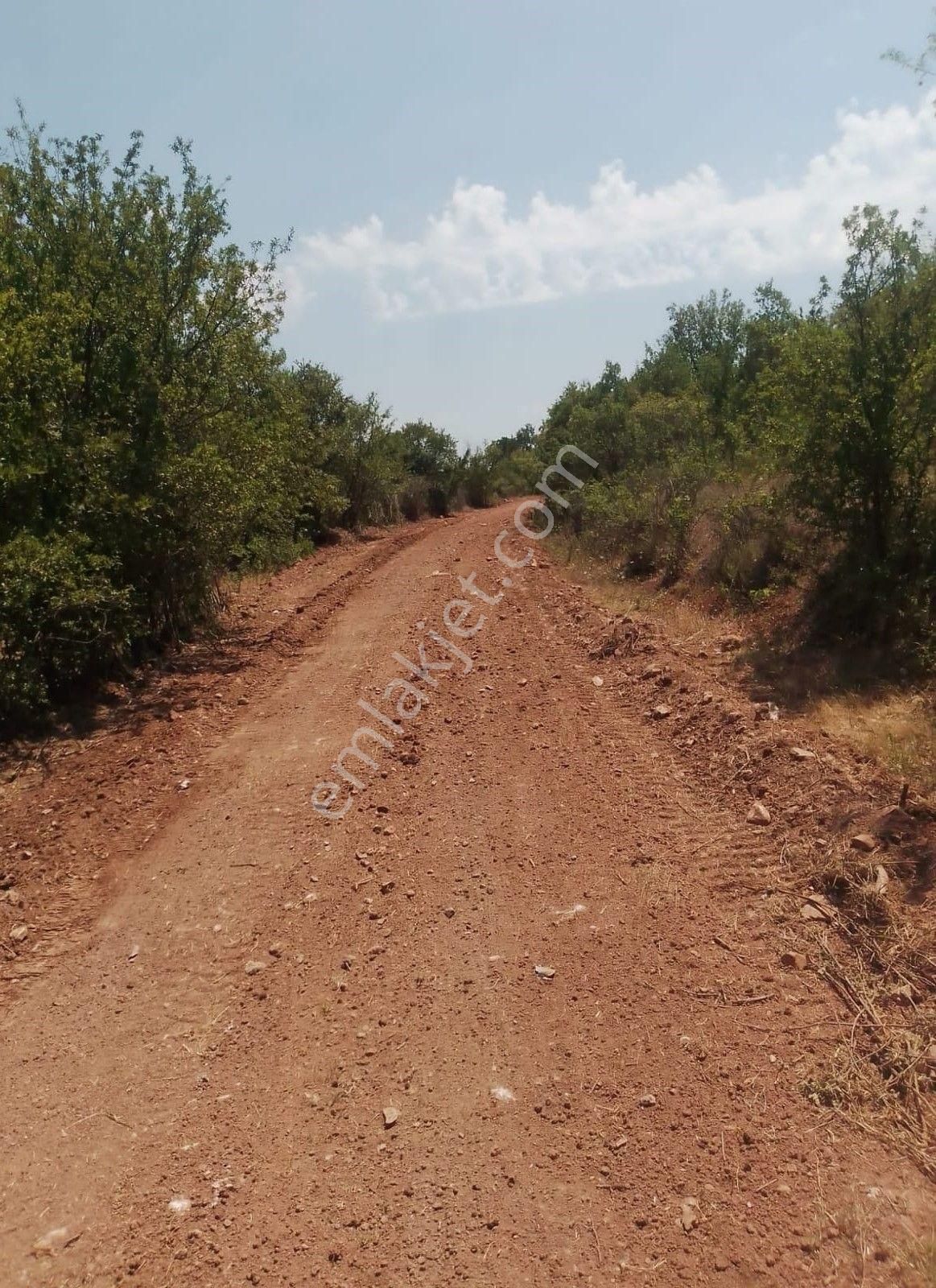 Çelik'ten Harmancık Kocapınar'da 5200 M2 Elma Bahçesi - Görsel 12