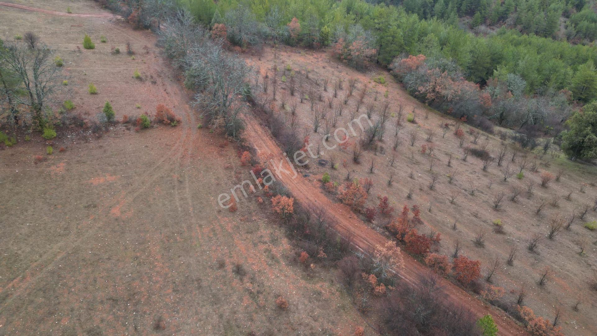 Çelik'ten Harmancık Kocapınar'da 5200 M2 Elma Bahçesi - Görsel 13