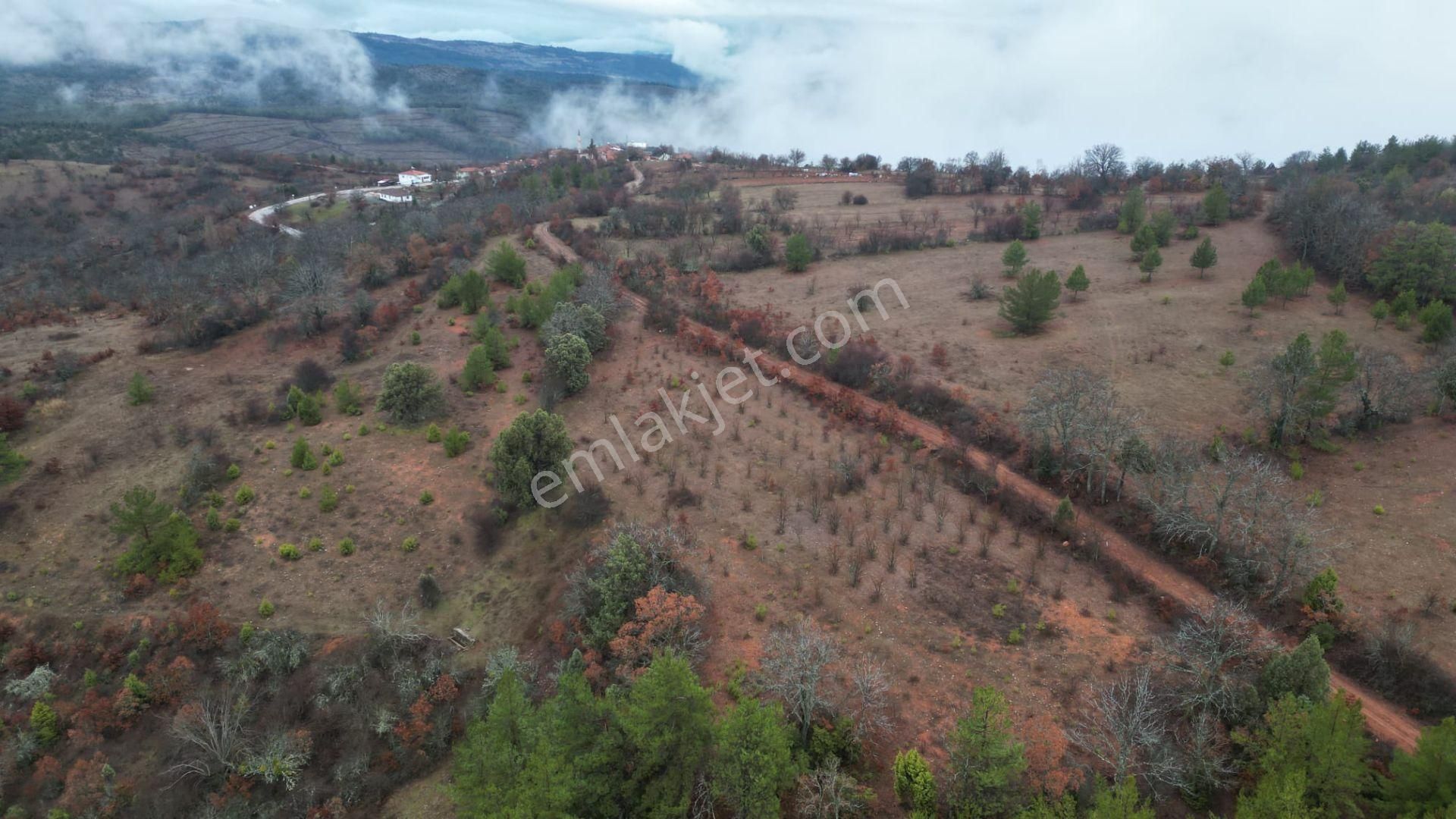 Çelik'ten Harmancık Kocapınar'da 5200 M2 Elma Bahçesi - Görsel 6
