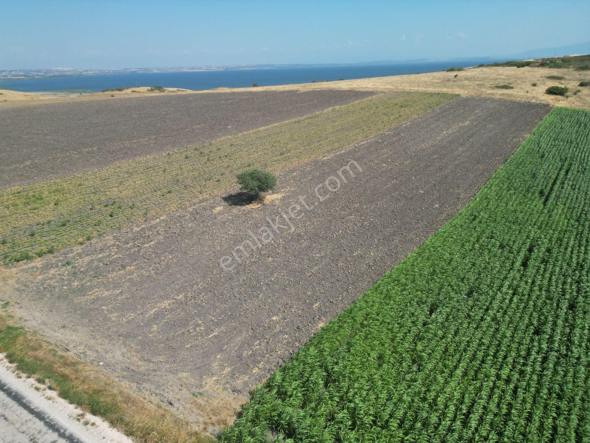 Bandırma Yenisığırcı Satılık Tarla Maltadan Yenisığırcıda Ana Yola Cehpe Satılık Tarla