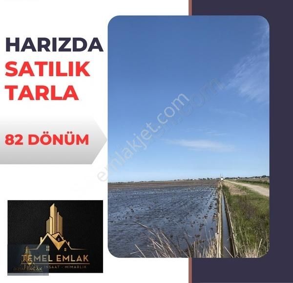 Bafra Harız Satılık Tarla Temel Emlak'tan Harızda Satılık 82 Dönüm Sulak Arazi