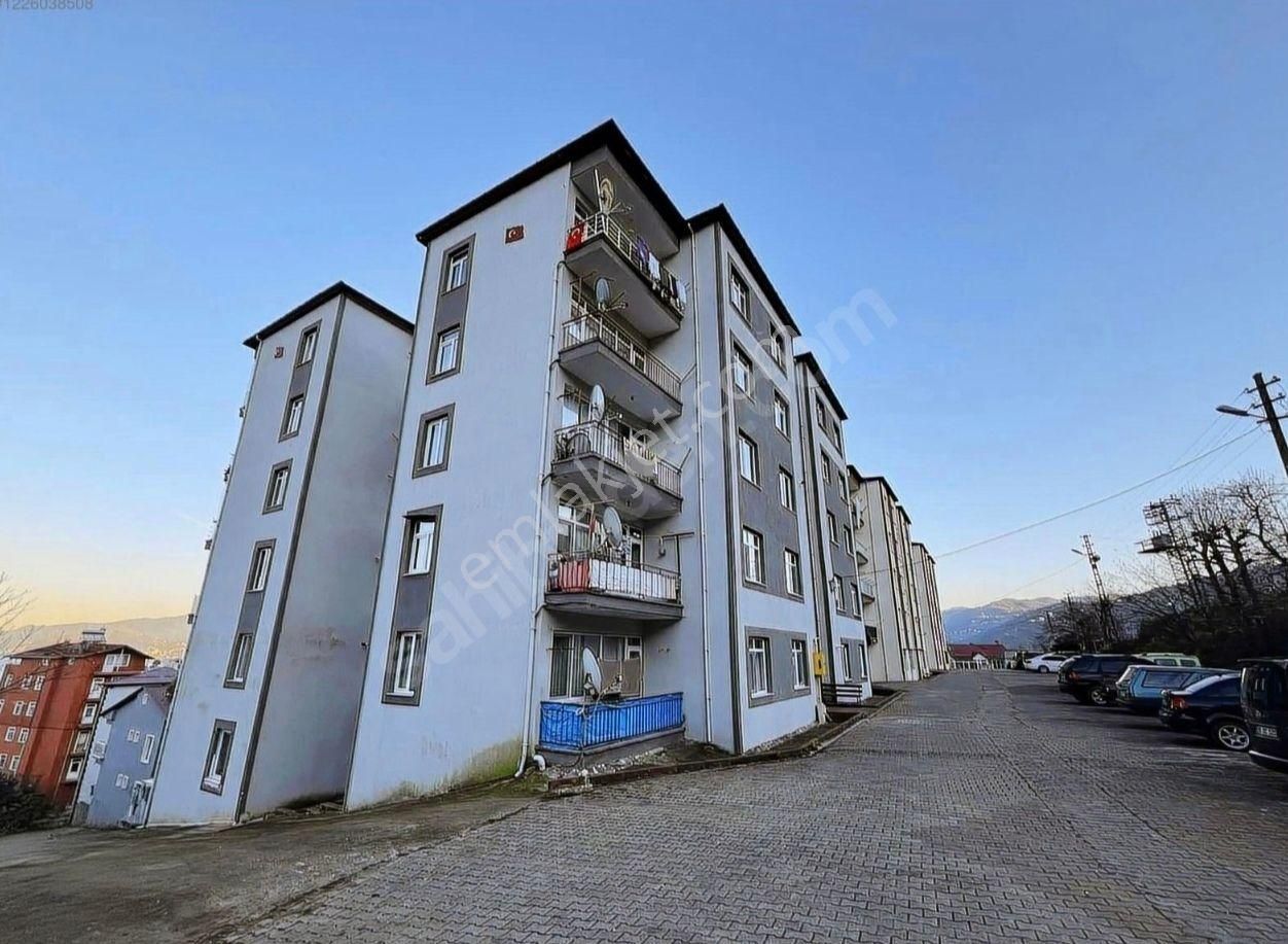 Keşap Bozkurt Satılık Daire 120 M2 Masrafsız Doğalgazlı Daire